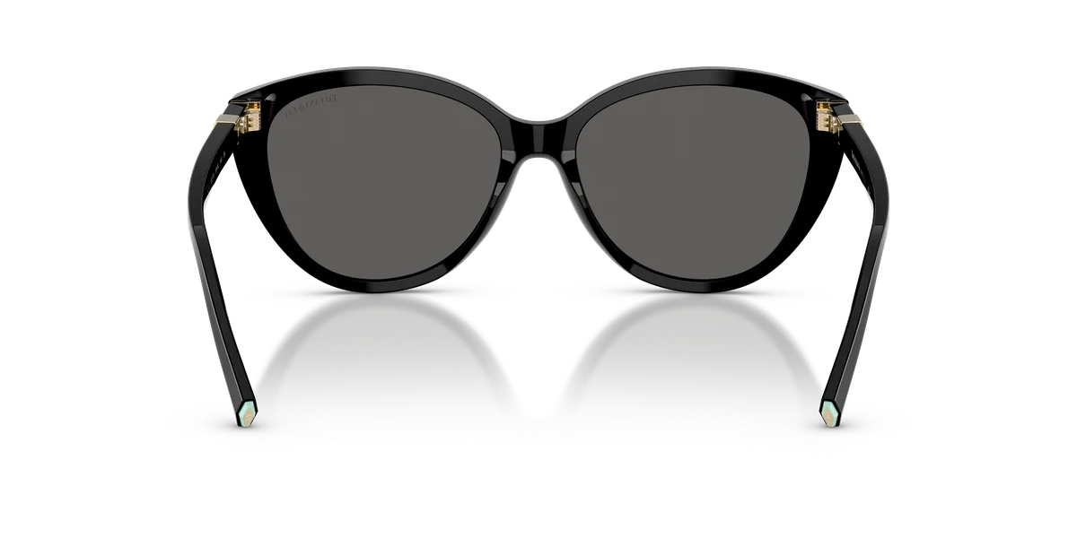 Tiffany & Co. TF4251 Blue Book