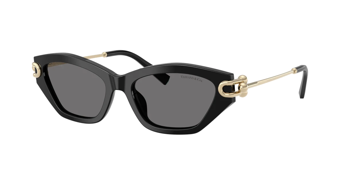 Tiffany & Co. TF4231 Tiffany Blue