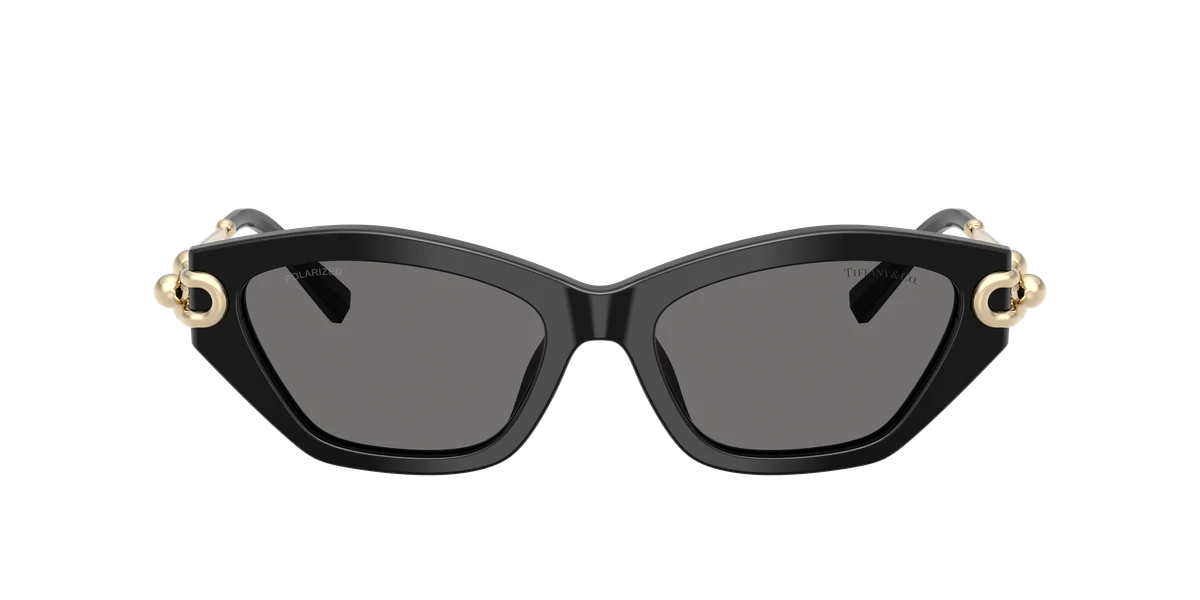 Tiffany & Co. TF4231 Tiffany Blue