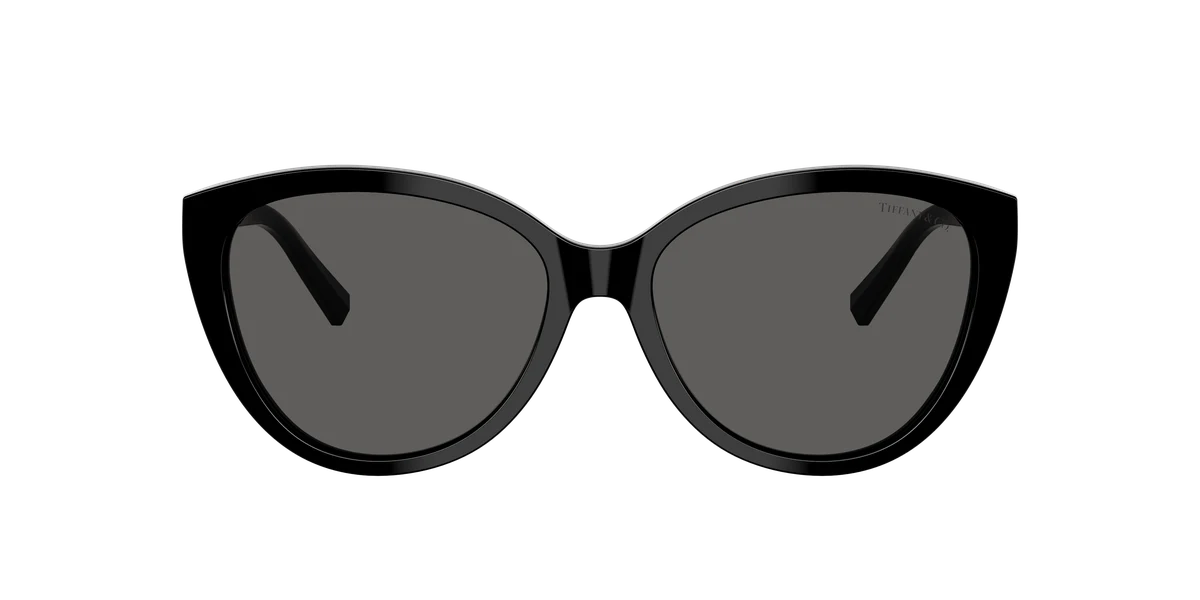 Tiffany & Co. TF4251 Blue Book